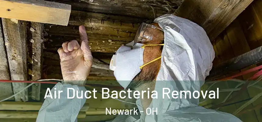  Air Duct Bacteria Removal Newark - OH