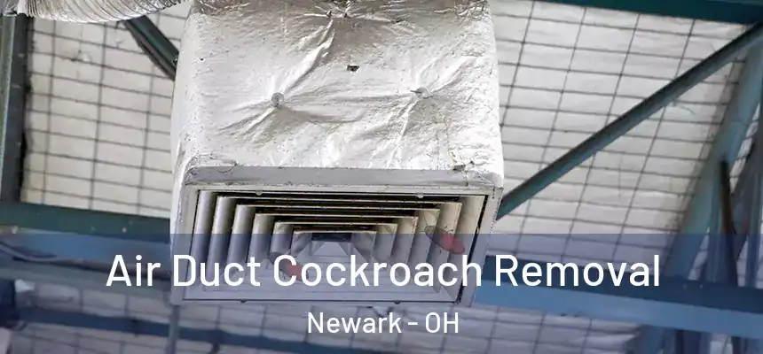 Air Duct Cockroach Removal Newark - OH