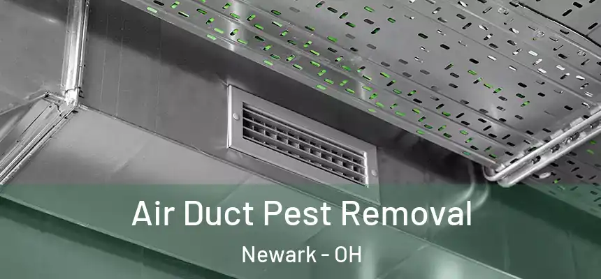  Air Duct Pest Removal Newark - OH