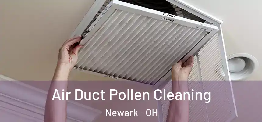  Air Duct Pollen Cleaning Newark - OH