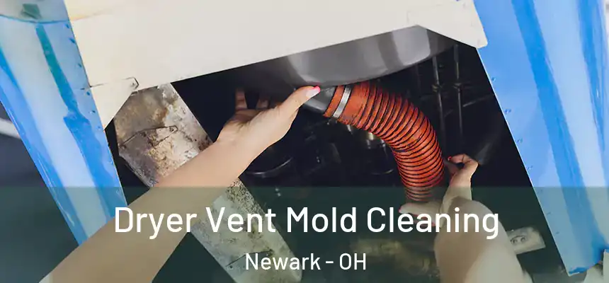 Dryer Vent Mold Cleaning Newark - OH