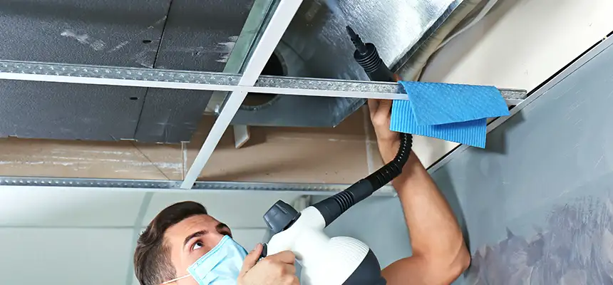 Our Air Duct Rodent Removal Services in Newark, OH