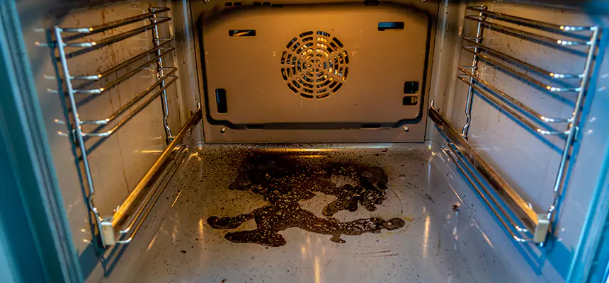 Our Dryer Vent Mold Cleaning Services in Newark, OH