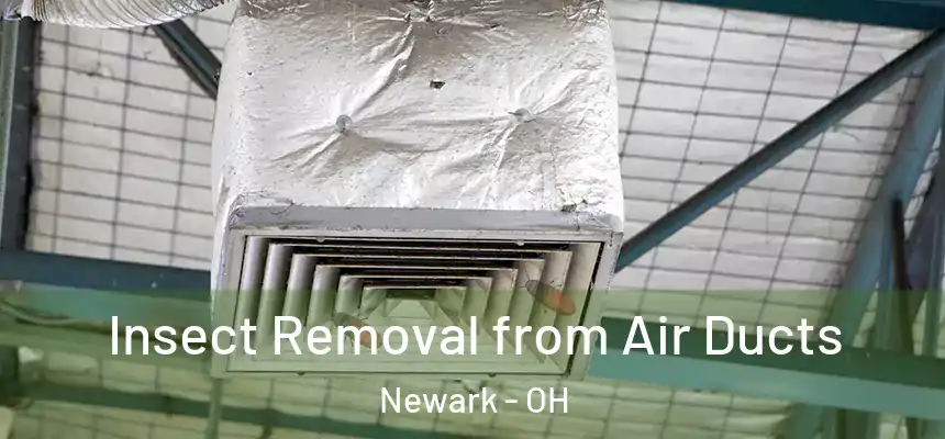 Insect Removal from Air Ducts Newark - OH