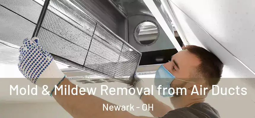  Mold & Mildew Removal from Air Ducts Newark - OH