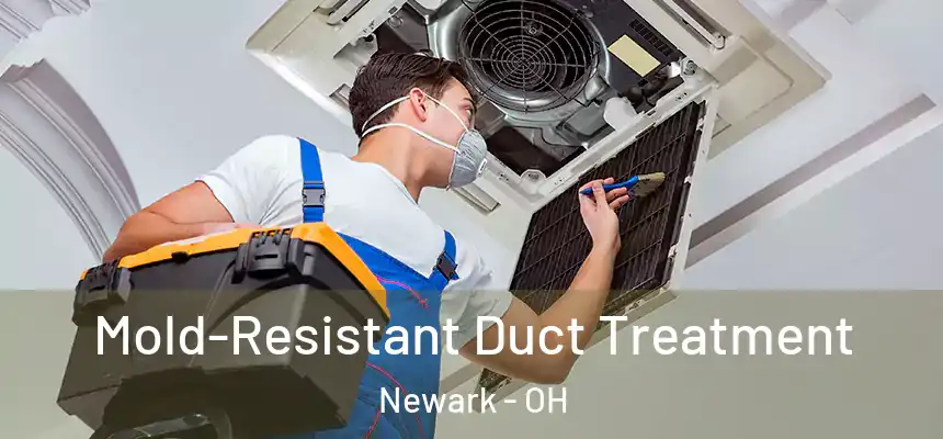 Mold-Resistant Duct Treatment Newark - OH