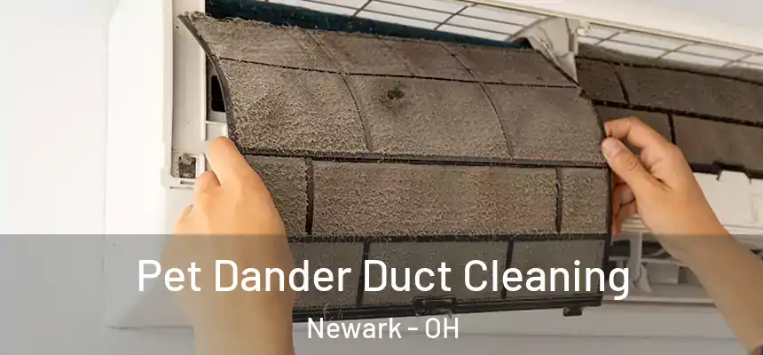  Pet Dander Duct Cleaning Newark - OH