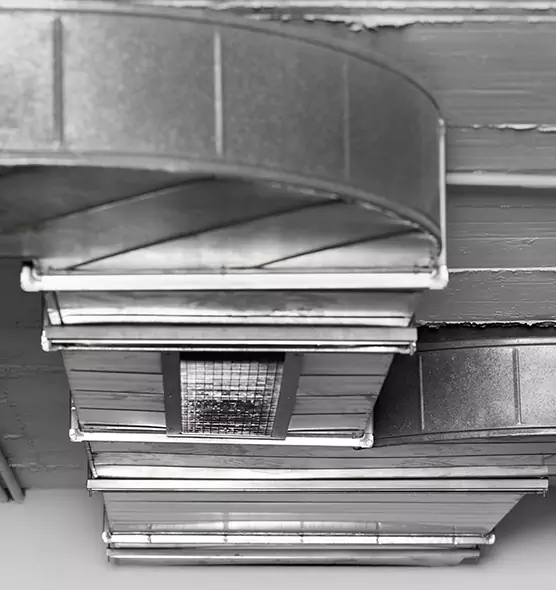 Professional Air Duct Pet Hair Removal in Newark, OH