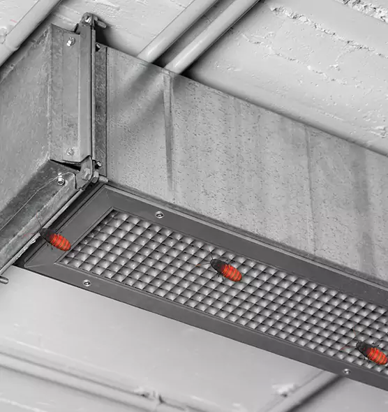Affordable Insect Removal from Air Ducts in Newark, OH