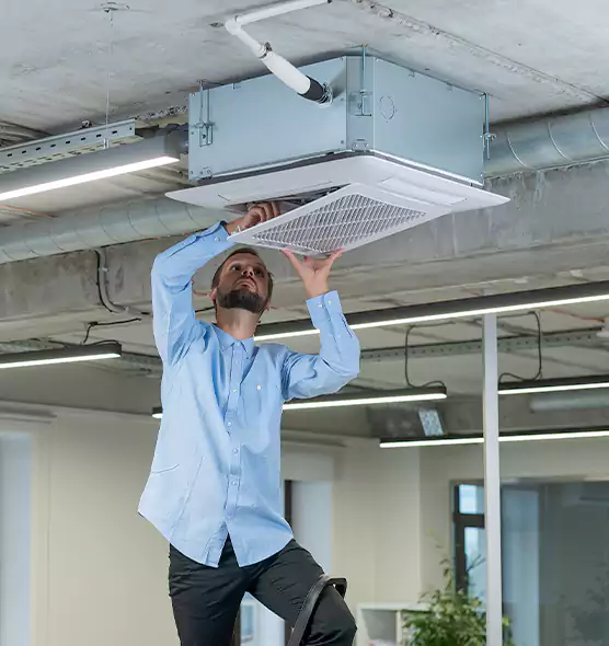 Advanced Rodent Droppings In Vents in Newark, OH