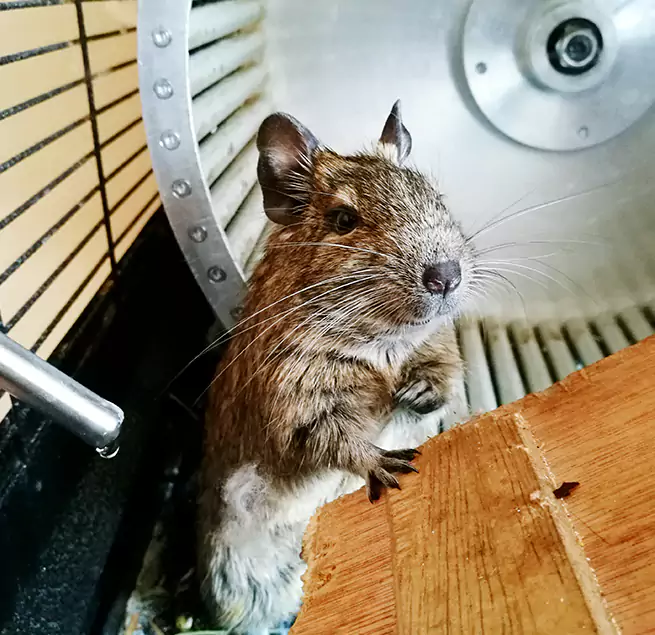 Why Homeowners & Businesses Trust Us Newark, OH